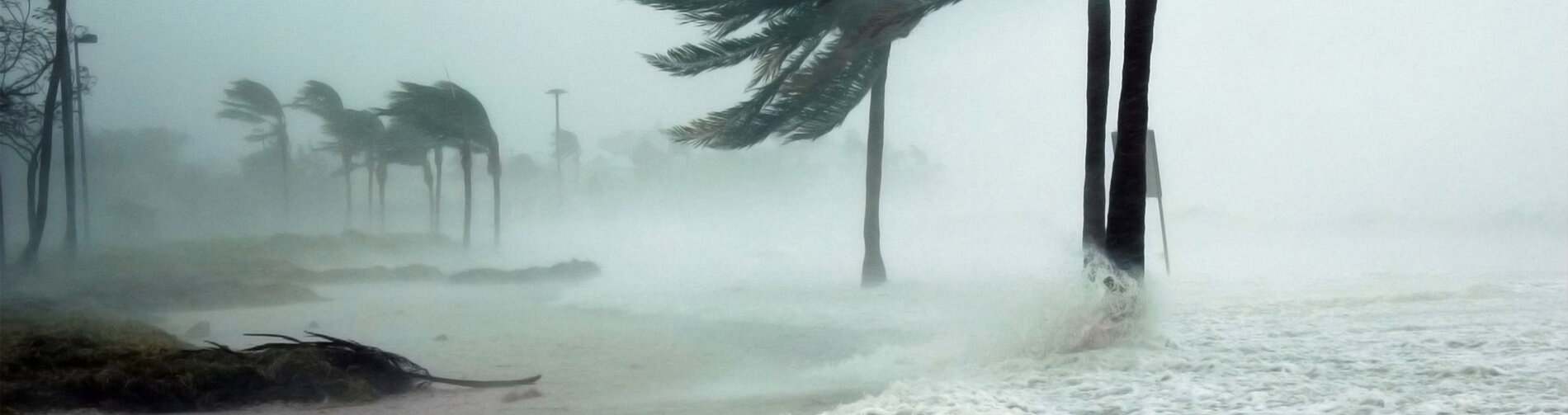 A hurricane blowing through a beach.
